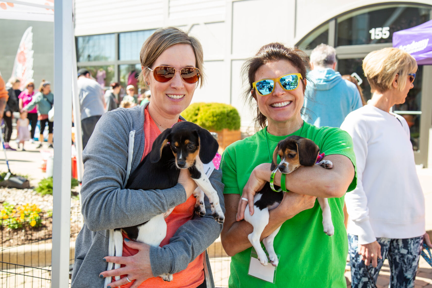 Puppy Palooza